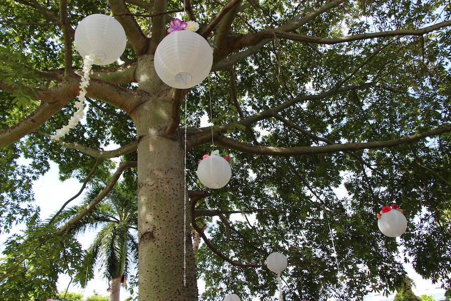 Jardines en Acapulco Diamante