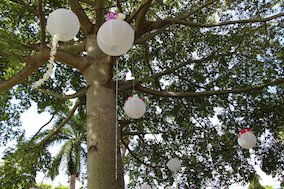 Jardines en Acapulco Diamante