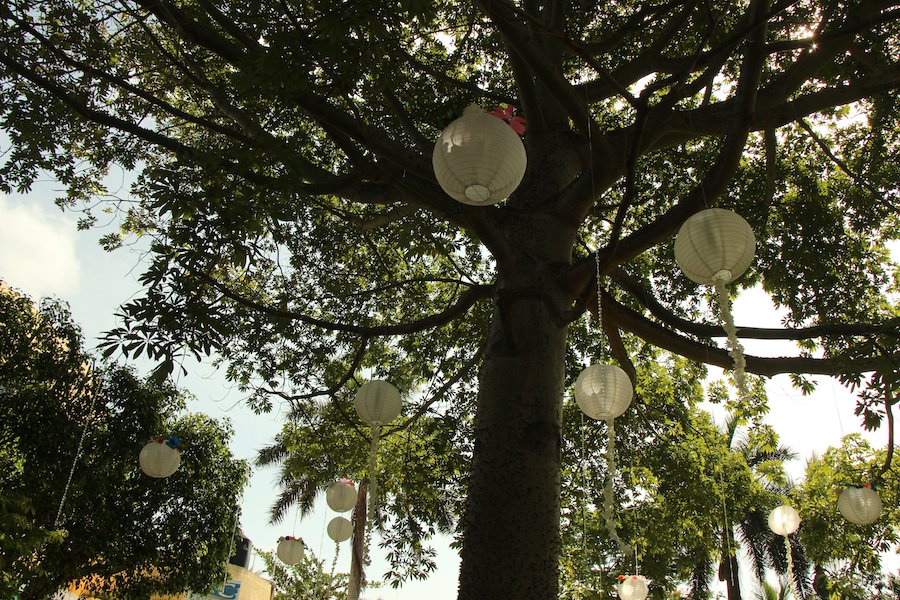 Jardines en Acapulco Diamante
