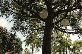 Jardines en Acapulco Diamante